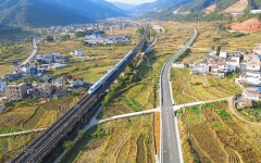 thumb_240_150_1767163750125188